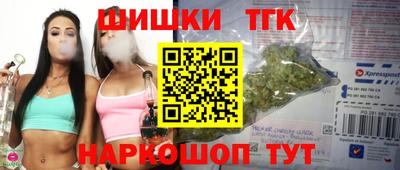 крисы Новодвинск