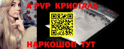 крисы Новодвинск