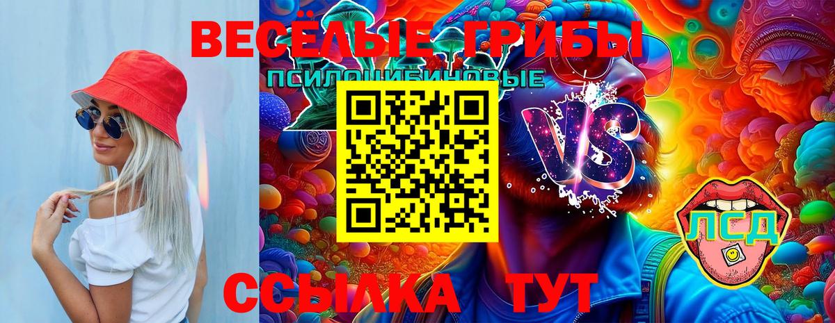 Псилоцибиновые грибы мицелий Туапсе