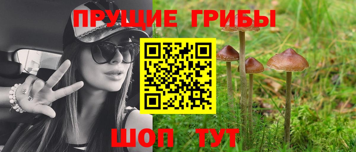 Туапсе  Галлюциногенные грибы мицелий  Вход с VPN 